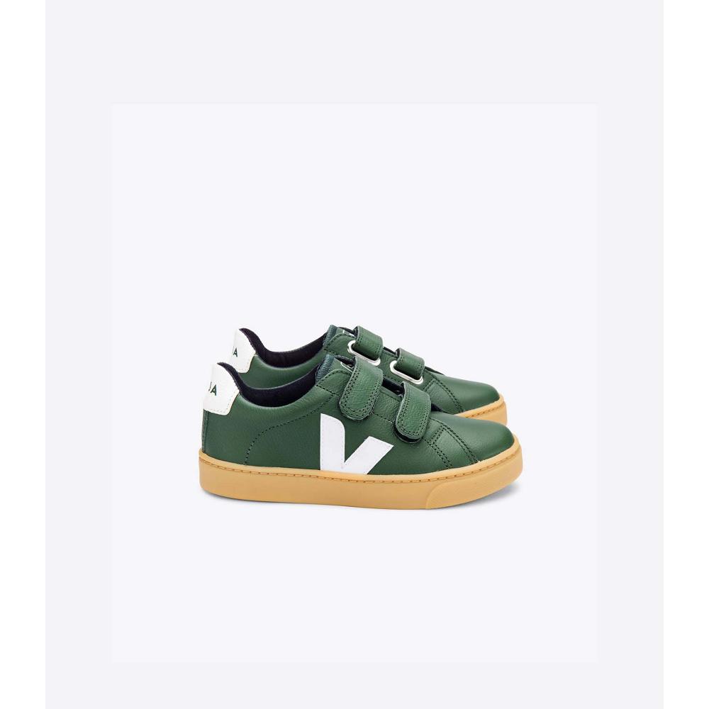 Veja ESPLAR LEATHER Kids\' Shoes Green | CA 736TCE